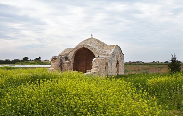 Agios Theodoros Xortakion Sotira IMG_0369